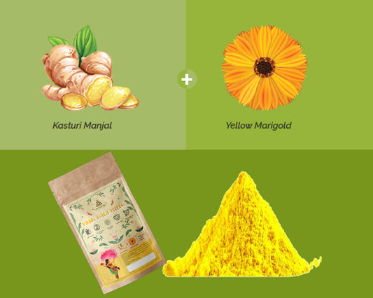 Organic & Natural Holi Color 4 x 100g Each