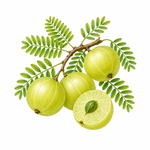 Root rejuvenator