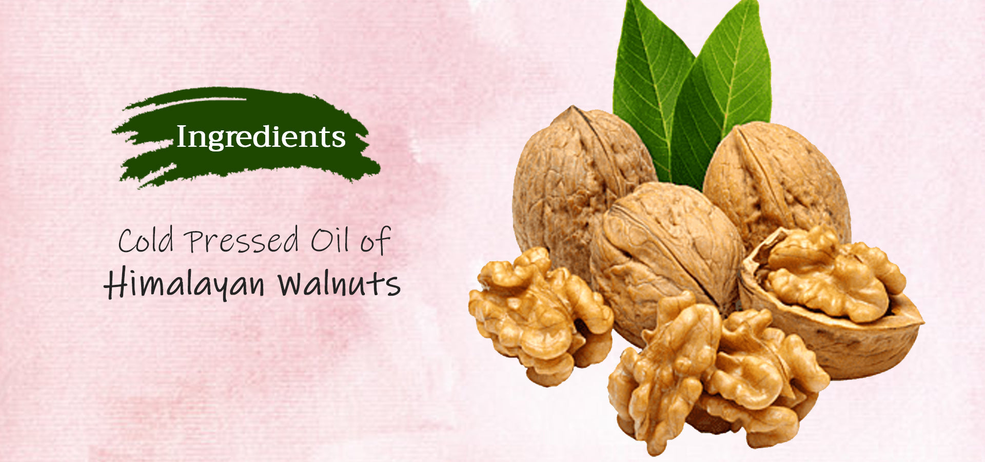 Tattvalogy Walnut Oil 100 Pure ColdPressed Oil for Hair, Skin & Health