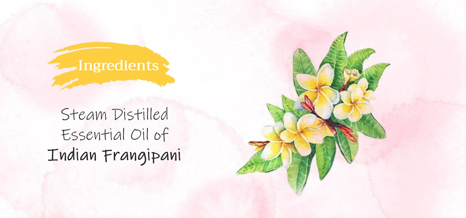 Tattvalogy Frangipani Essential Oil Embrace Tropical Bliss, Relax & Glow