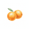 African Marula Oil