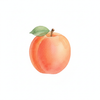 Apricot Oil