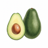 Avocado Oil