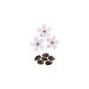 Organic Babchi Oil