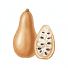 Baobab Oil