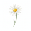 Chamomile Calming Toner