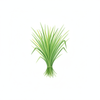 Citronella Oily Skin Toner