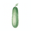 Cucumber Water Puffy Skin Toner