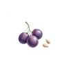 Grapeseed Oil
