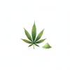 Hemp Seed Powder