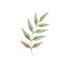 Neem Anti-Dandruff Hair Spray