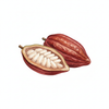 African Cocoa Butter
