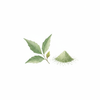 Organic Neem Powder