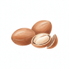 Organic Shea Butter