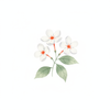Parijat Body Toner