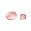 Natural Rose Clay