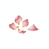 Rose Petal Powder