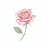 Desi Rose Water