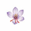 Luxurious Saffron Gel