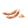 Shikakai Powder