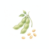 Soya Wax
