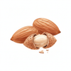 Sweet Almond Oil