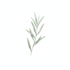 Tea Tree Natural Toner